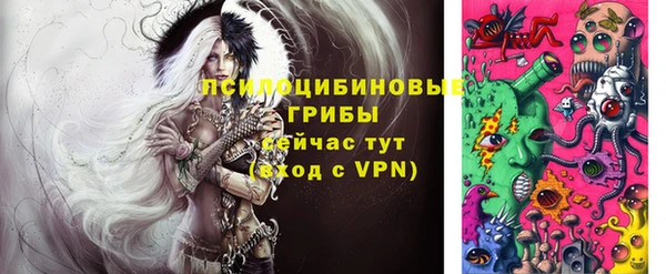 гашик Иннополис