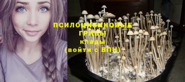 марки lsd Зерноград
