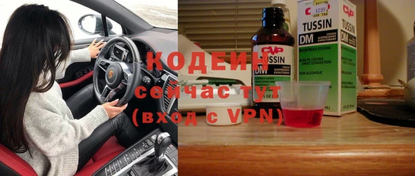 твердый Инсар