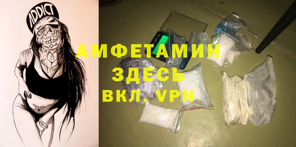 твердый Инсар